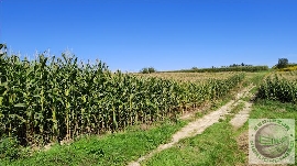 13820