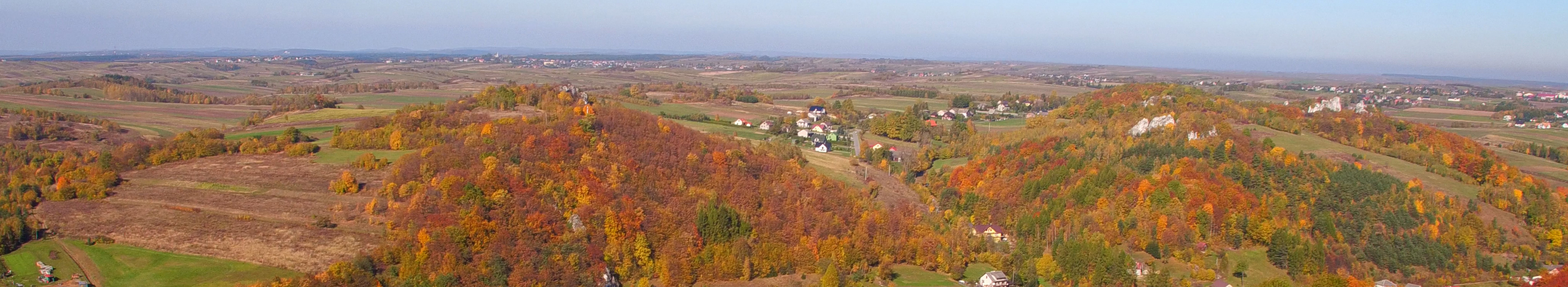 BOGATA OFERTA NIERUCHOMOŚCI
